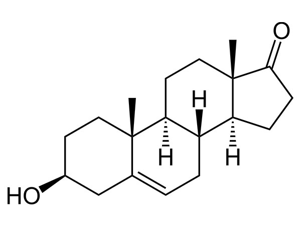 DHEA (prastérone)