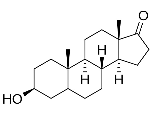 Épiandrostérone