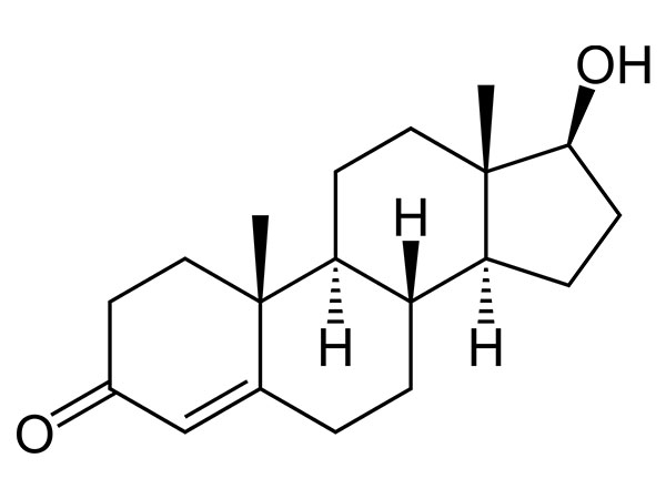 Testostérone